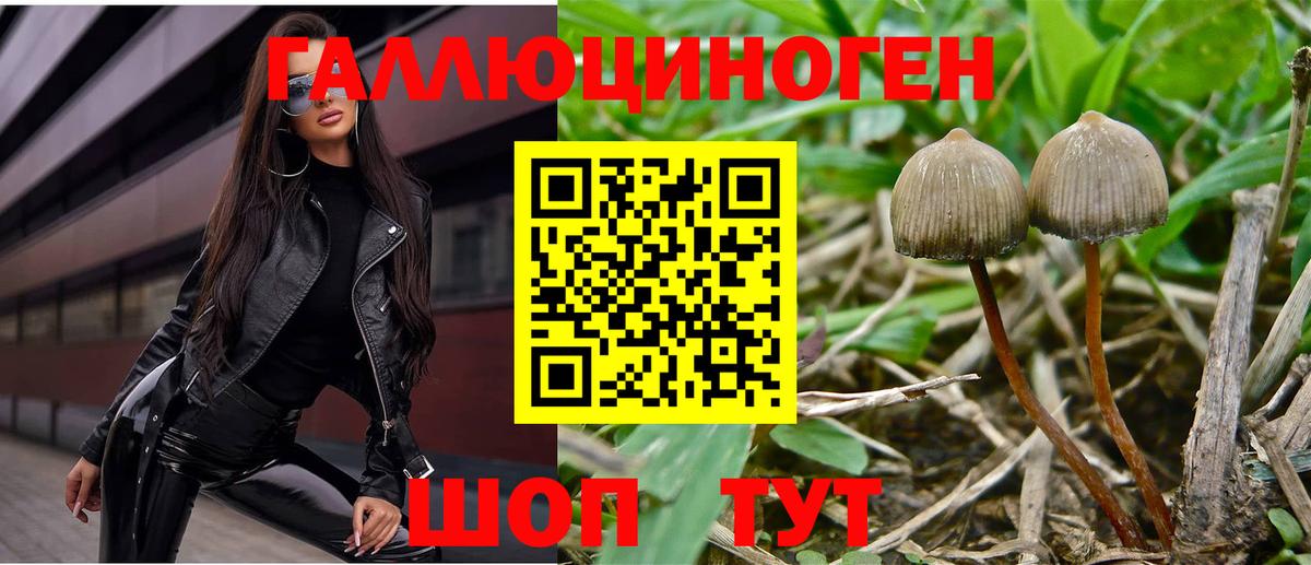 Галлюциногенные грибы MAGIC MUSHROOMS Орехово-Зуево