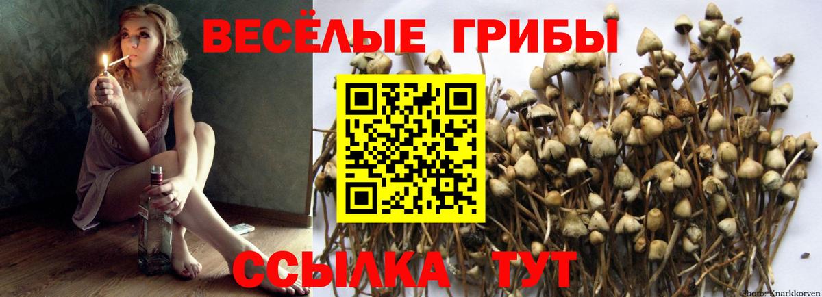Орехово-Зуево  Галлюциногенные грибы Magic Shrooms  Псилоцибиновые грибы мухоморы  Вход с VPN 